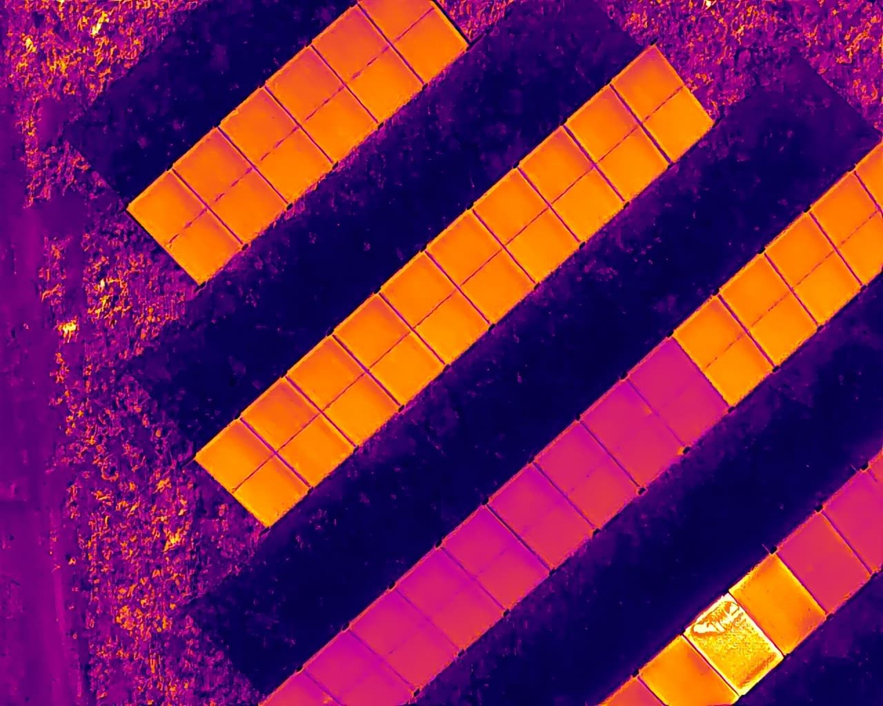 Thermographic image